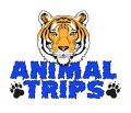 Индивидуальная доставка животных от Animal Trips