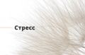 Психолог при стрессе