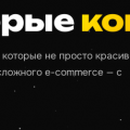 Разработка и продвижение интернет-магазинов
